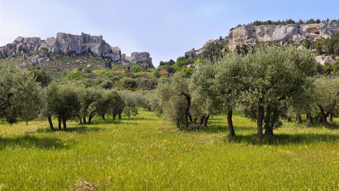 Découverte intimiste du Pays de Fayence lors d’une escapade provençale