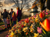 Combien de temps pour visiter Keukenhof en famille