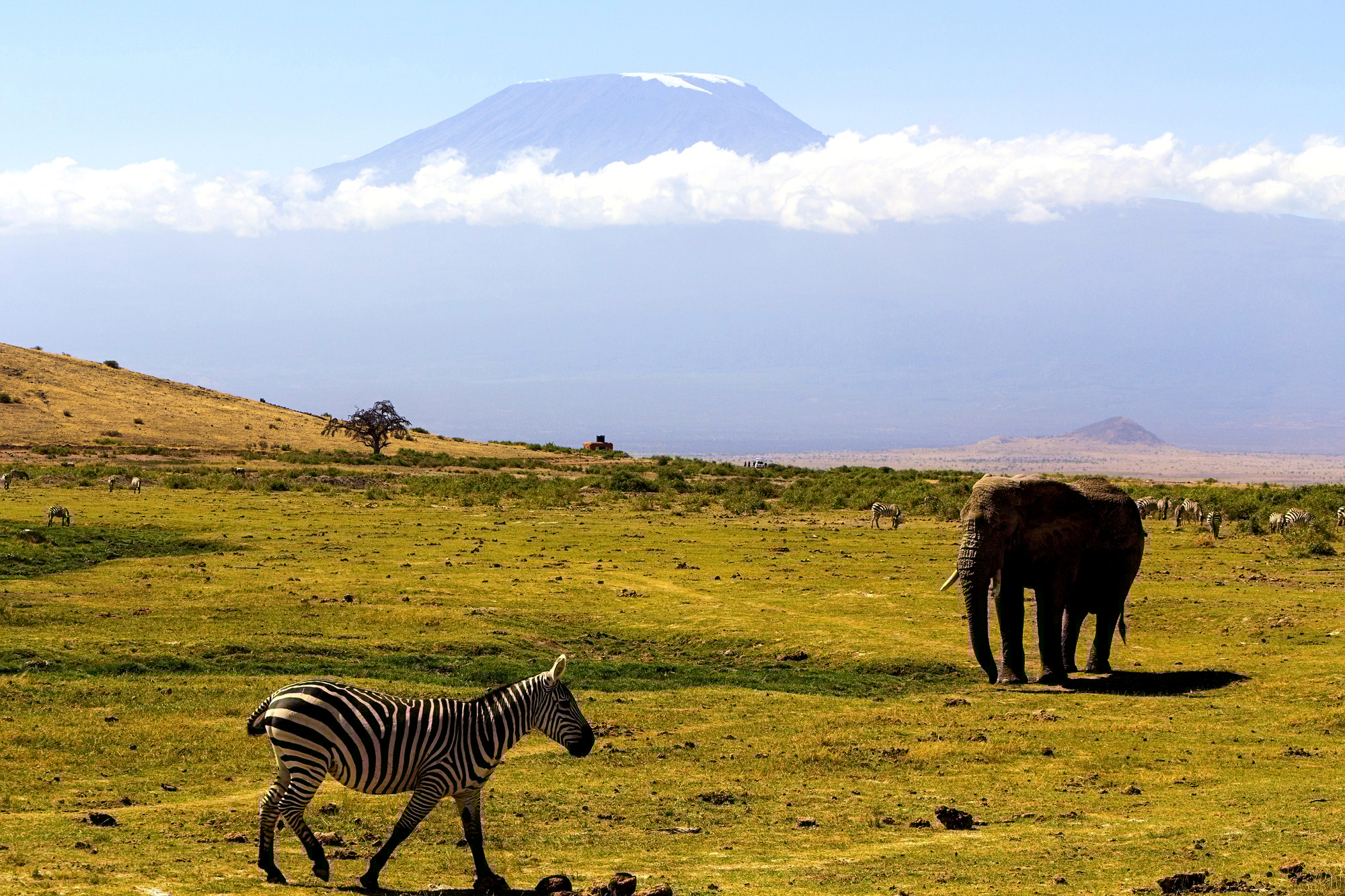 vraie Tanzanie