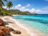 découvrez abc aruba island et ses paysages à couper le souffle à travers une aventure photographique inoubliable qui révèle la beauté naturelle de l'île.