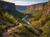 Canyon Ásbyrgi : randonnées et paysages à couper le souffle