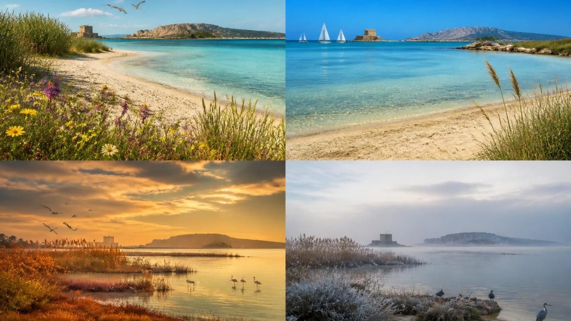 Explorer la beauté naturelle de la plage du Stagnone en toute saison